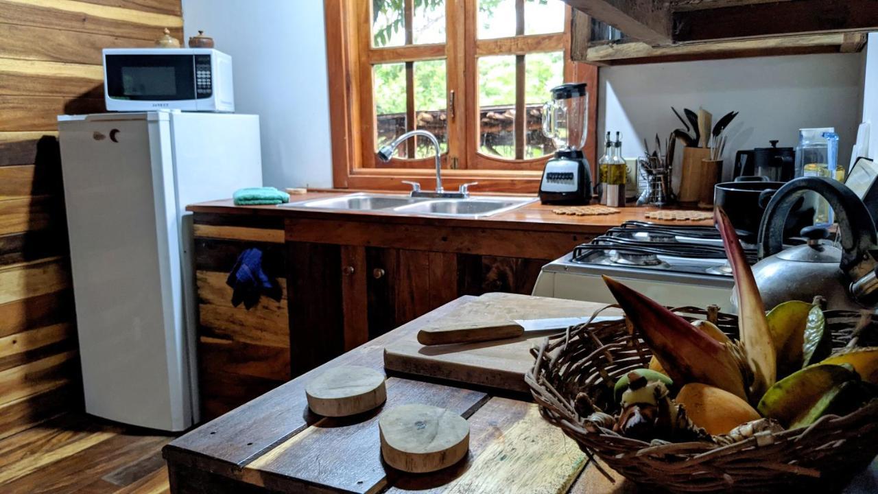 Wood Cabin - Cabana Maderas Balgue المظهر الخارجي الصورة